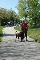 NAMIWalk07 (271) 